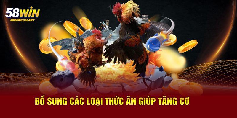 Bổ sung các loại thức ăn giúp tăng cơ