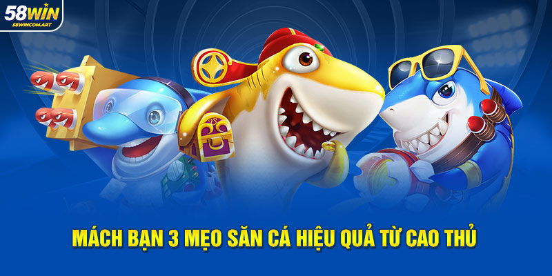Mách bạn 3 mẹo săn cá hiệu quả từ cao thủ