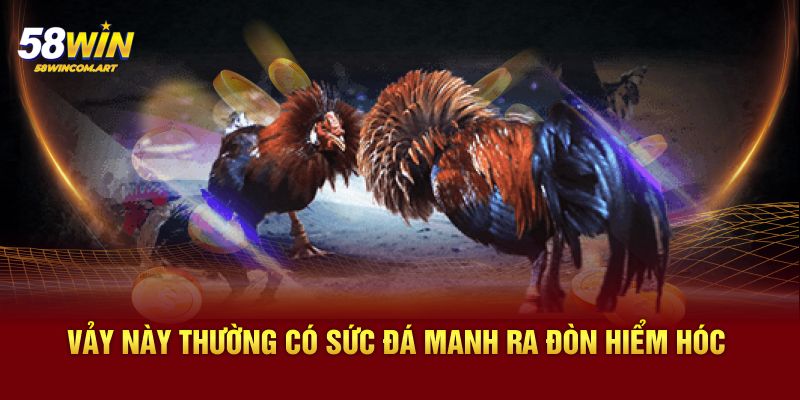 Vảy này thường có sức đá manh ra đòn hiểm hóc