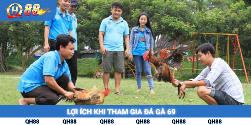Lọi ích khi tham gia đá gà 69